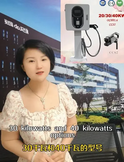 Vente Flash Unité de station de recharge DC EV Chademo CCS 150kw, Point de chargeur de voiture électrique Ocpp EV DC, chargeur rapide avec tension de sortie 1000V, personnalisation de base